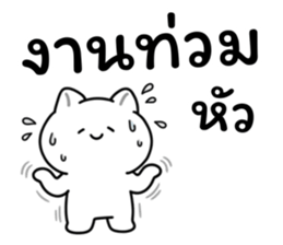 อาจจะเป็นแมวนะ (เซต.2) รูปที่ 39