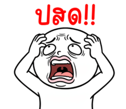 ลายที่ 13