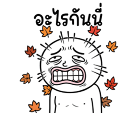 ลายที่ 35