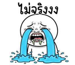 ลายที่ 37