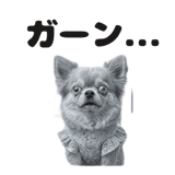 832112468