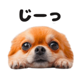 832112471
