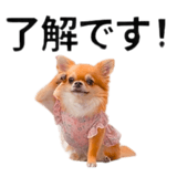 832112485