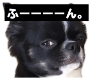 832115851