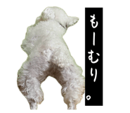 832115852