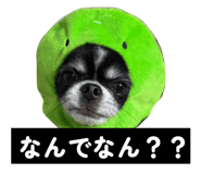832115854
