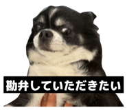 832115863
