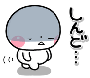 832125038