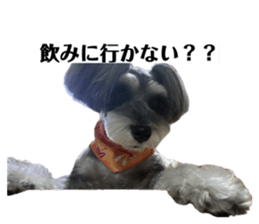 832126731