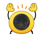 832142616