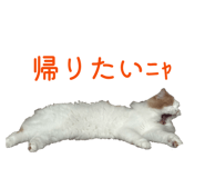 832148334
