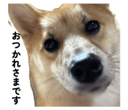 832149458