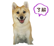 832149463