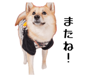 832149464