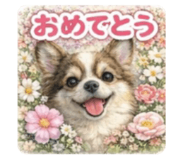 832192585