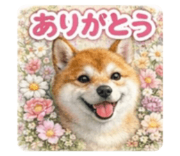 832192589