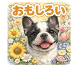 832192593