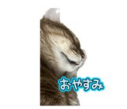832197615