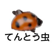 832199953