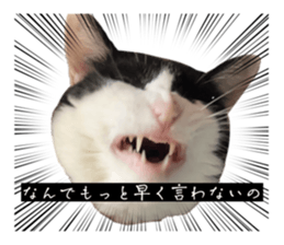 832201083