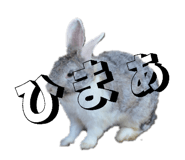 832201277