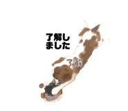 832202219