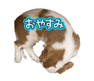 832202220