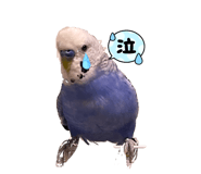 832202224