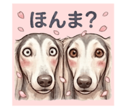 832245854