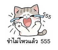 832247763