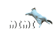 832260501