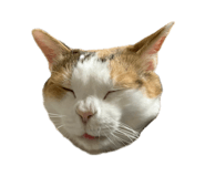 832260502