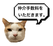 832260506