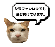 832260507
