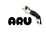832260513