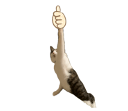 832260520