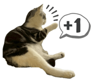 832261381