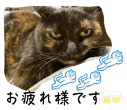 832265652