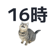 832268768