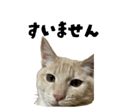 832268775