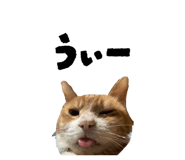 832268776