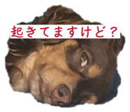 832275074