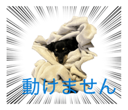 832275077