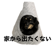832275078