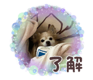 832283884