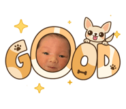 832293017