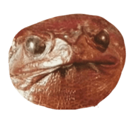 832297435