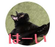832308227