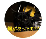 832308244