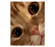 832318015